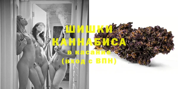 крисы Баксан
