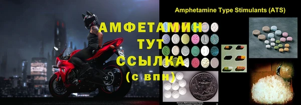 ГАЛЛЮЦИНОГЕННЫЕ ГРИБЫ Богданович
