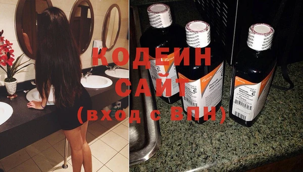 ГАЛЛЮЦИНОГЕННЫЕ ГРИБЫ Богданович
