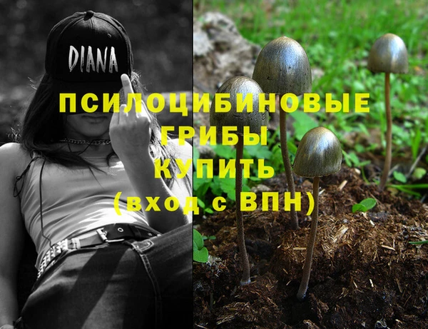 ГАЛЛЮЦИНОГЕННЫЕ ГРИБЫ Богданович