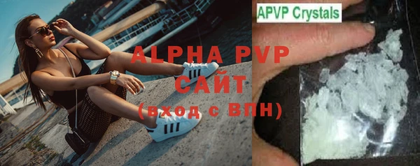 ГАЛЛЮЦИНОГЕННЫЕ ГРИБЫ Богданович