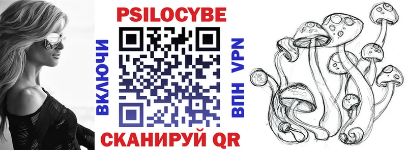 Купить  Семёнов  Галлюциногенные грибы Cubensis 